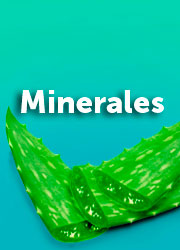 Minerales del aloe Vera