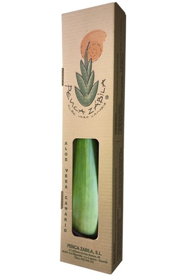 Hoja de Aloe Vera